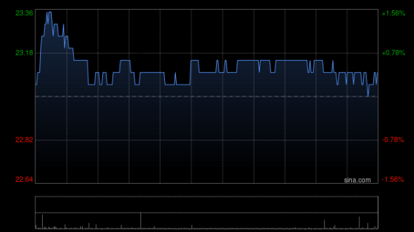 红领金服 花旗：升恒安国际目标价至22.3港元 卫生巾业务仍然受压