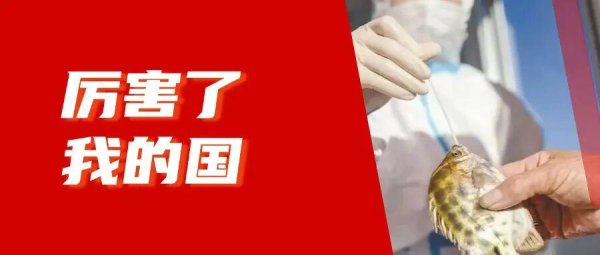 点点盈 经济学家眼中最奇葩的案例——阿根廷的复苏之路